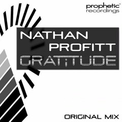 Gratitude (original mix)