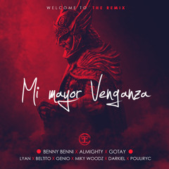Mi Mayor Venganza (Remix)