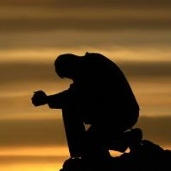 Sheklak Ft Benjabeats - Perdonare Mis Errores