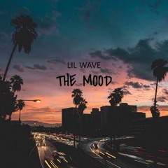 LilWaveBM - The Mood