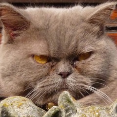 3 Minicatures (for solo clarinet, 2017)