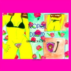 Zero G - Ransom (Señor Chancho Cumbia Edit)