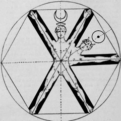 warlocks and wizards