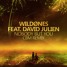 WildOnes Feat. David Julien - Nobody But You (CBM Remix)