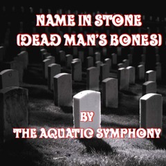 Name In Stone (Dead Man's Bones)