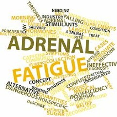 Podcast 4 Hacking Adrenal Fatigue