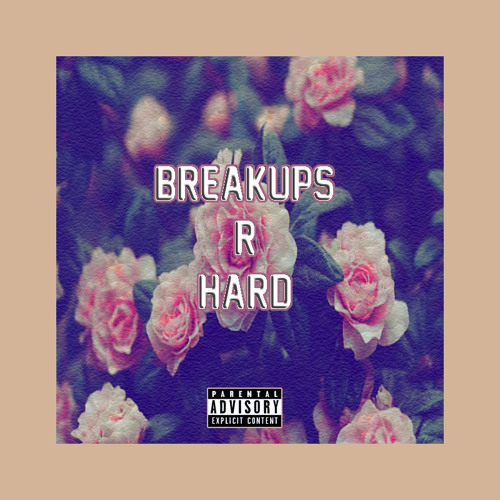 Searching for Arizona (Alternate Version)