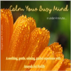 Calm Your Busy Mind - A Soothing Guided Experience