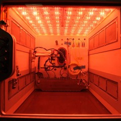 Something Without The Flo Junior Diaz So Flo Studios