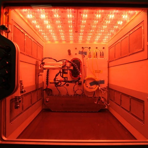 Something Without The Flo Junior Diaz So Flo Studios