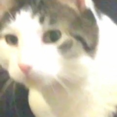 Sneak Dissin (Prod. JFINESSE)