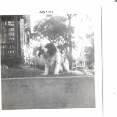 LVL UP- Black Honey Looper Cover