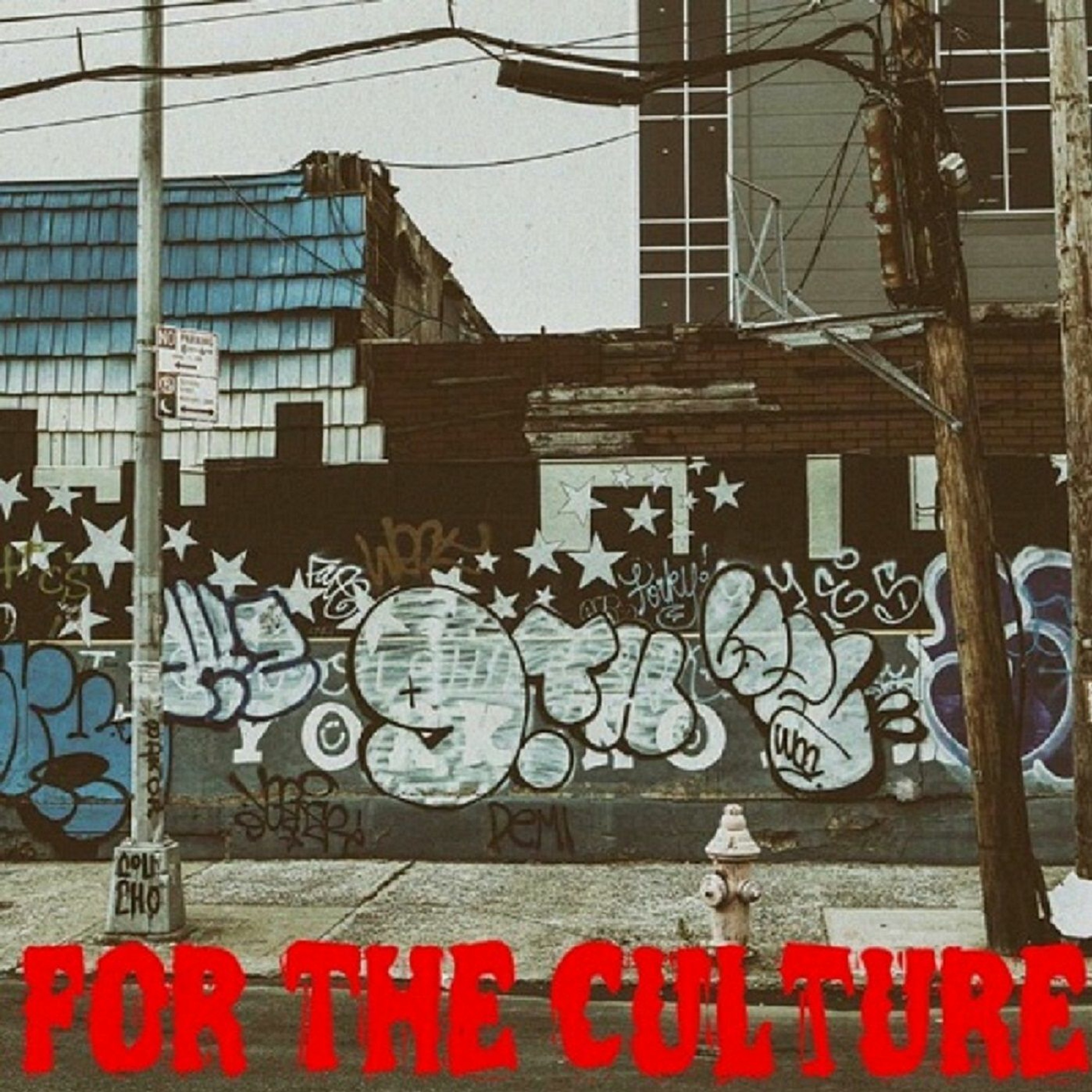 For The Culture Podcast Episode 2 thumbnail