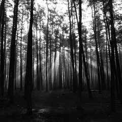 Run. (DarkPsy - Forest Mix)