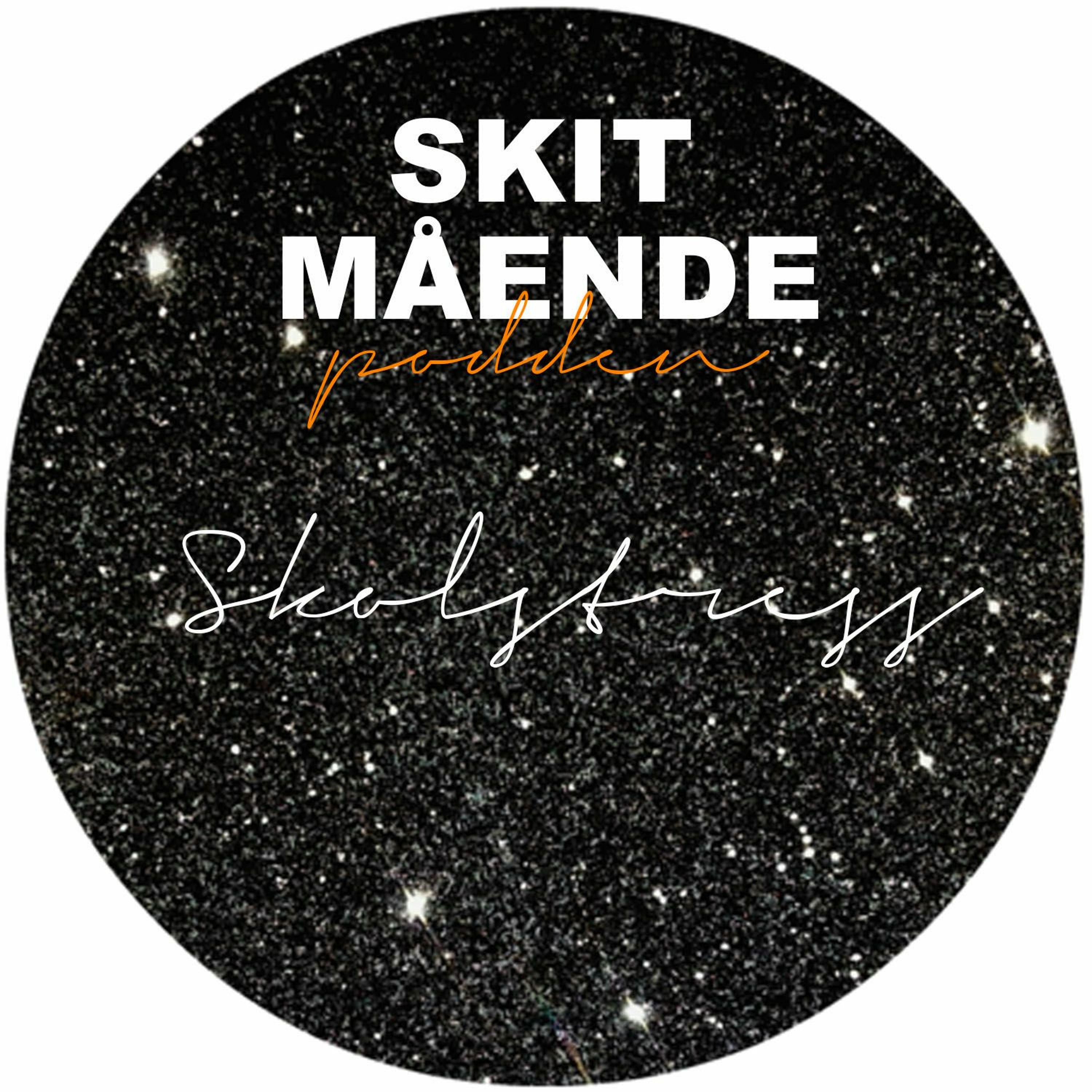 2. Skolstress episode artwork