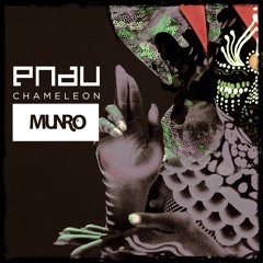 PNAU - Chameleon (Munro Remix)