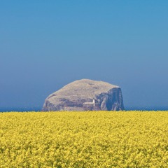 Isola