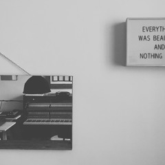 Everything Was Beautiful And Nothing Hurt