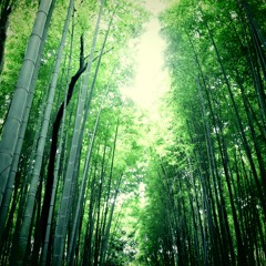 Someday Believers (Portugal. The Man Cover)