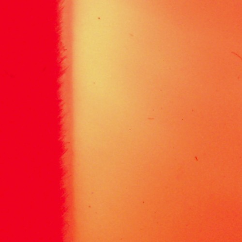 "insert ambiguous title here"