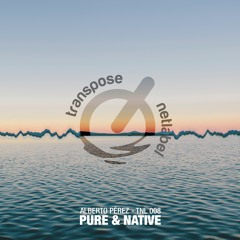 A.Pérez - Pure (Original Mix)