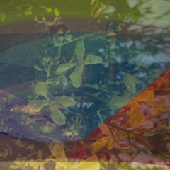 02 Sticker In The Back