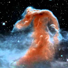 Fridge/ Quick Learner/ Peace, Little Horn