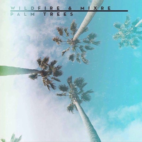 Wildfire & Mixre - Palm Trees