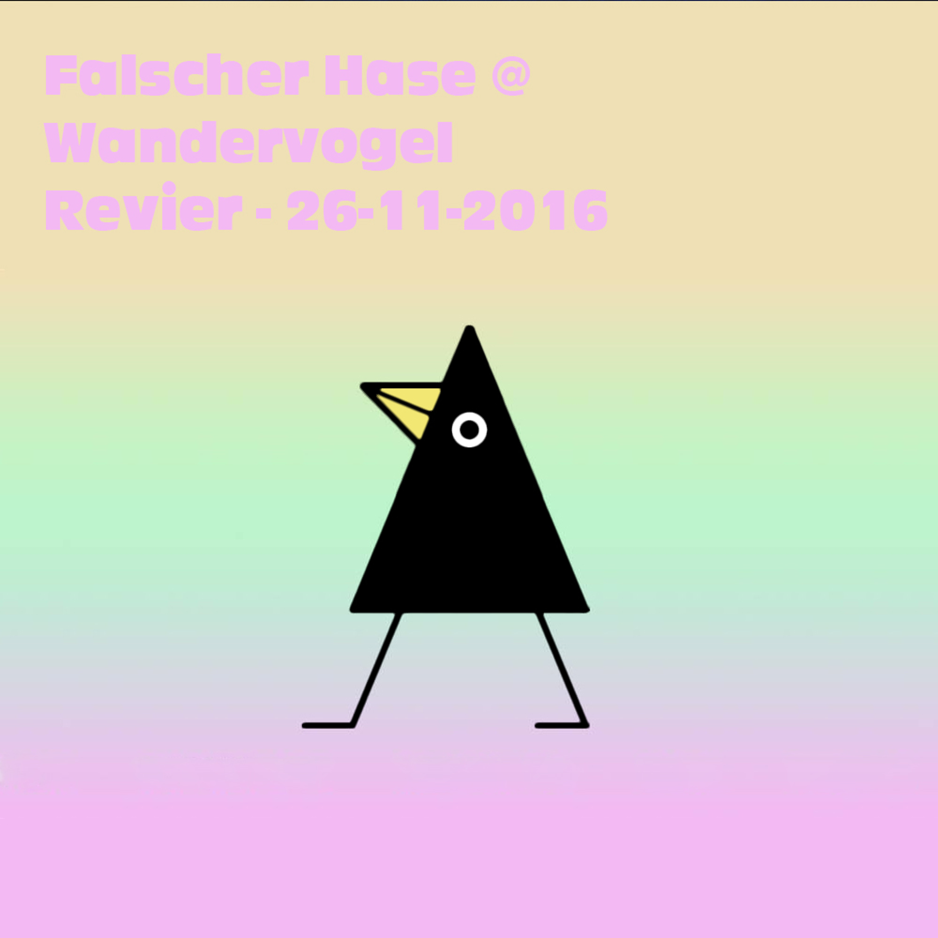 Falscher Hase – Mixe, Podcasts & Livemitschnitte