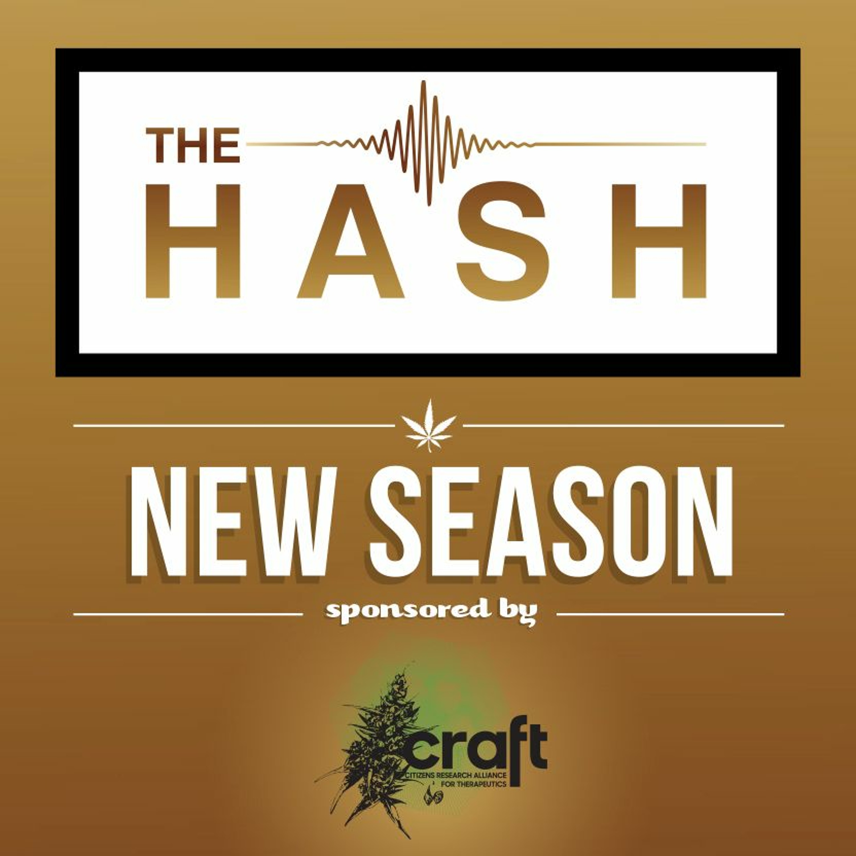 The Hash