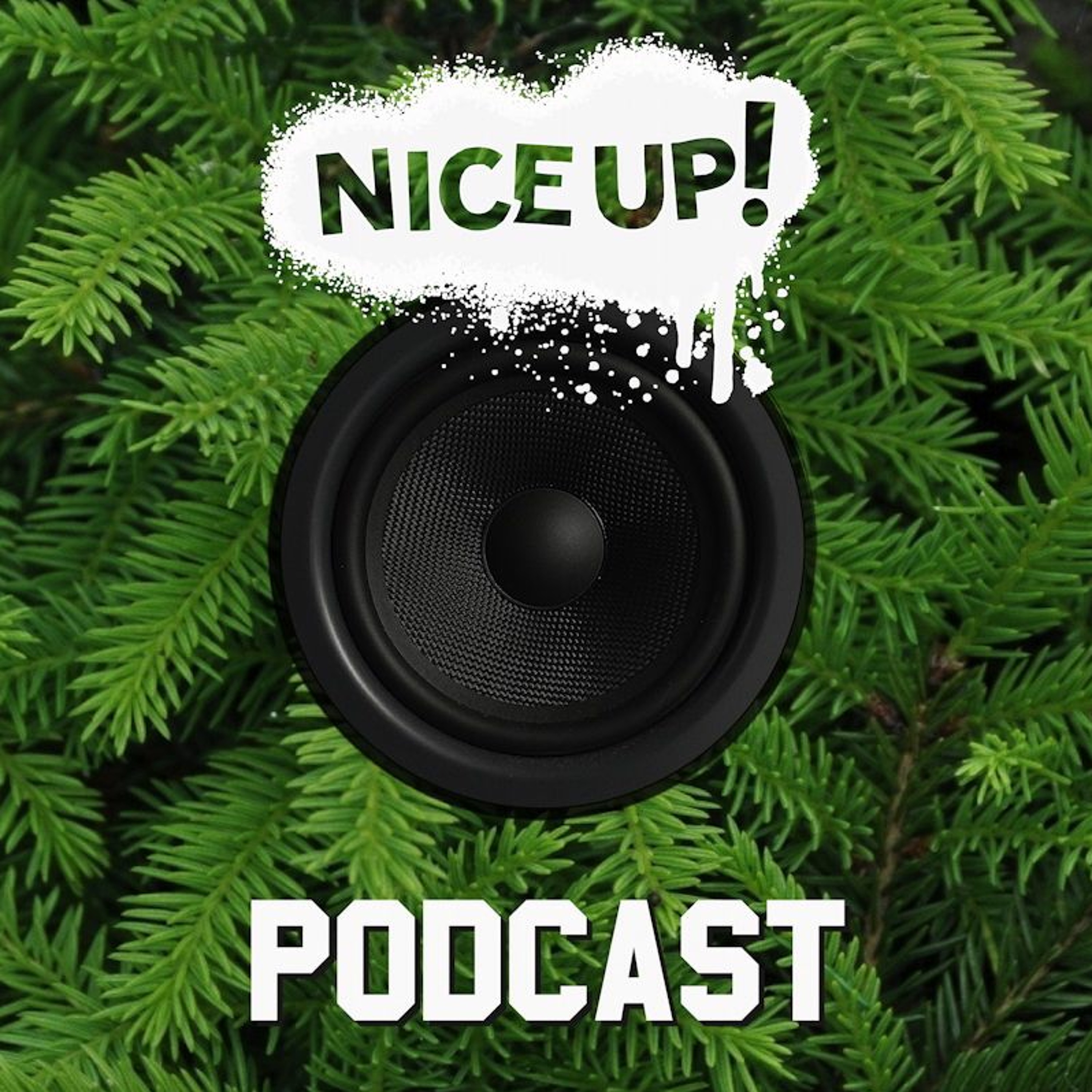 NICE UP! records