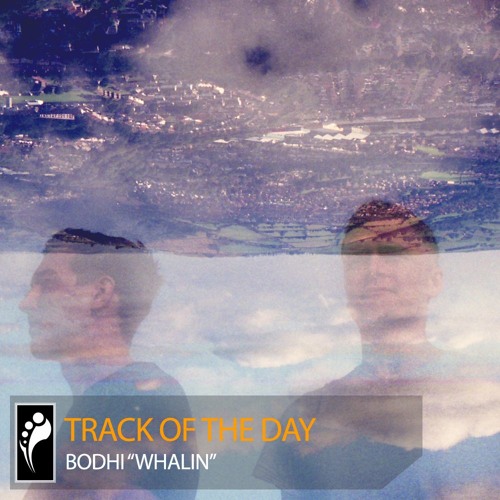 Track of the Day: Bodhi “Whalin”