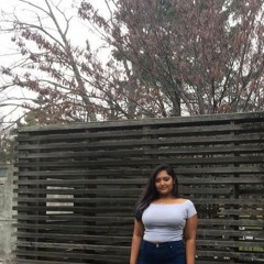 Ramisa - Secret Love Cover (JoJo)