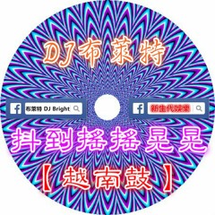 新生代娛樂-DJ布萊特-抖到搖搖晃晃【越南鼓】