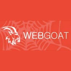 2016 AppSec USA - An Update on the WebGoat Project