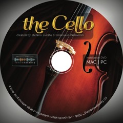 Samplemodeling - The Cello