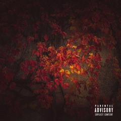 gotawait - akathelonewolf (Prod. Kin Rich)