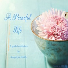 A Peaceful Life - staying focused on peace in times of stress