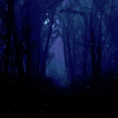 Nightfall in the Woods