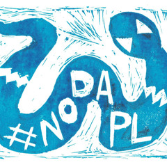 Juniper Odell, Asheville NC, Mother and Water Protector, Rosebud Camp