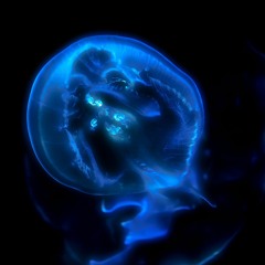 Deepest Blue  (Remix)