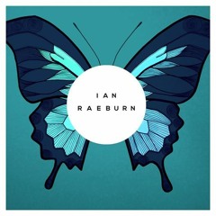 She Changed Everything - Ian Raeburn