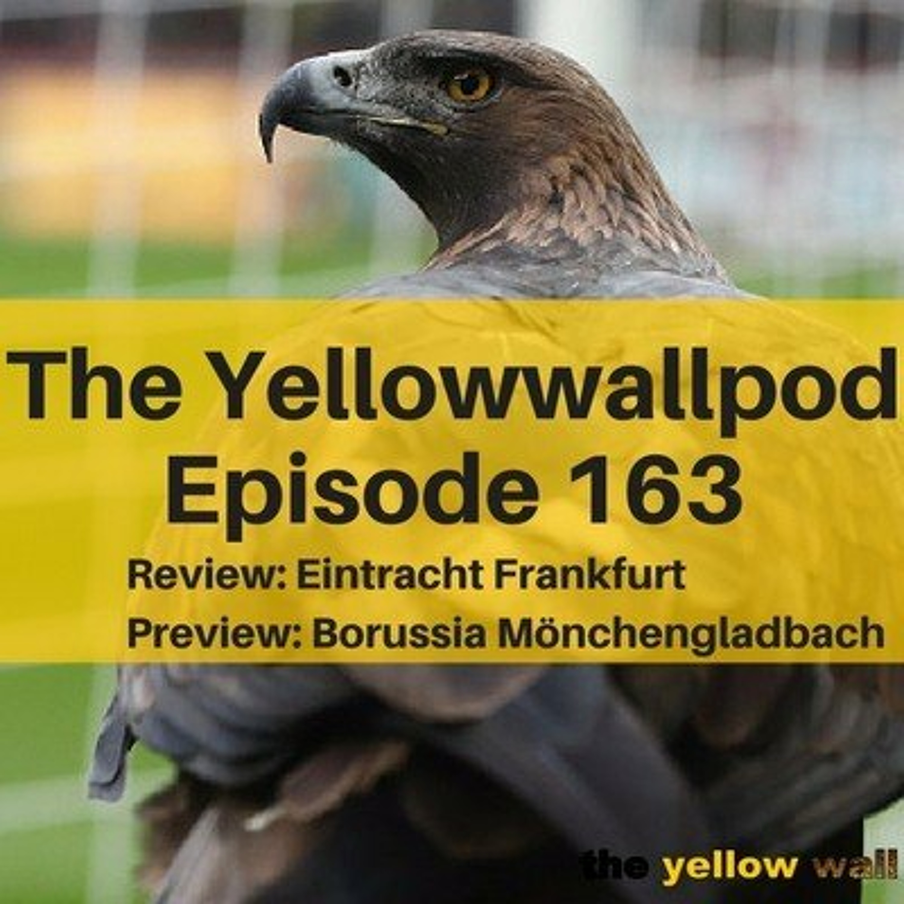 Yellowwallpod