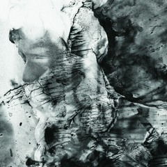 Download: COMBAT! - Av(r)on (Walrus Ghost Remix)