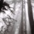 Artwork for mid-morning fog (arbour & fantompower)