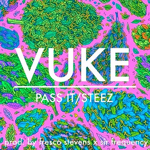 VUKE - Pass It/Steez ( Prod. by fresco stevens x sir frequency )
