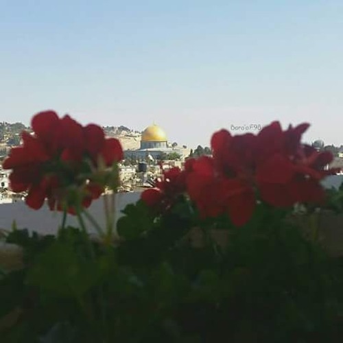 القصة لازالت تُحكي ^^