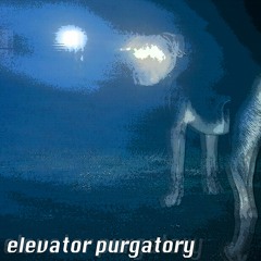 elevator purgatory
