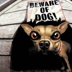 TREE HOUSE SHANANIGANS(FREESTYLE)-SPARK/POUNDZ/MELICINO/LORDCALIBEAR/TREEDOGG