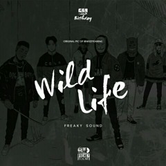 Freaky Sound - Wild Life ( Original Mix )